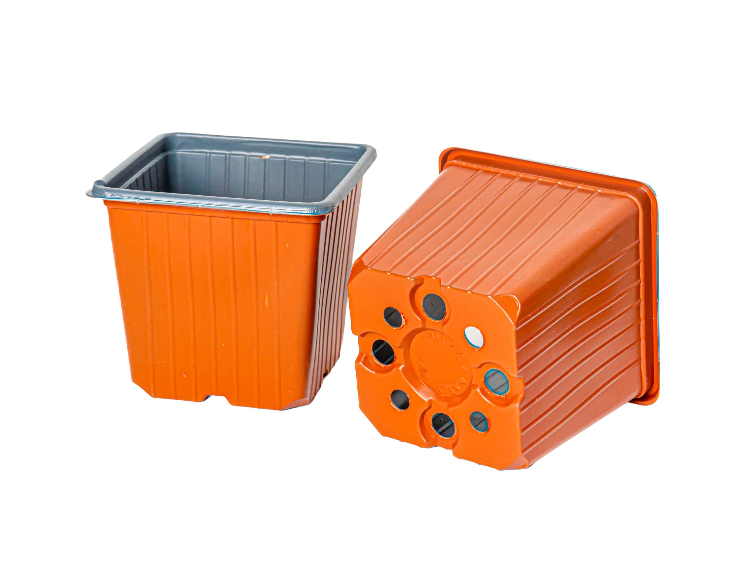 Bodur kare thermoform saksı