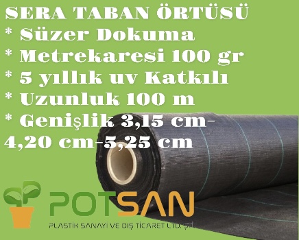 Sera taban örtüsü